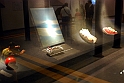 Museo Di Scienze Naturali - Experimenta 33